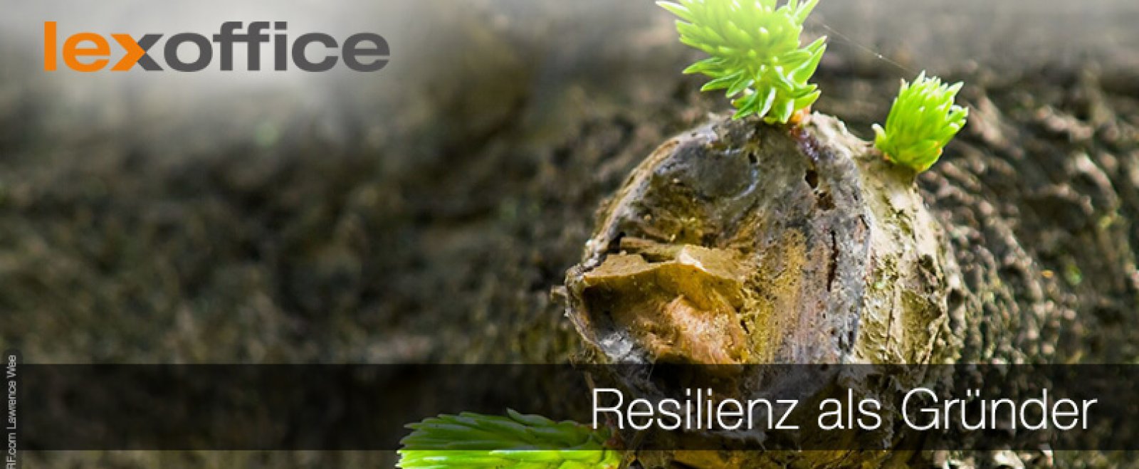 Resilienz als Gründer: Durchhalten für den Erfolg ist angesagt