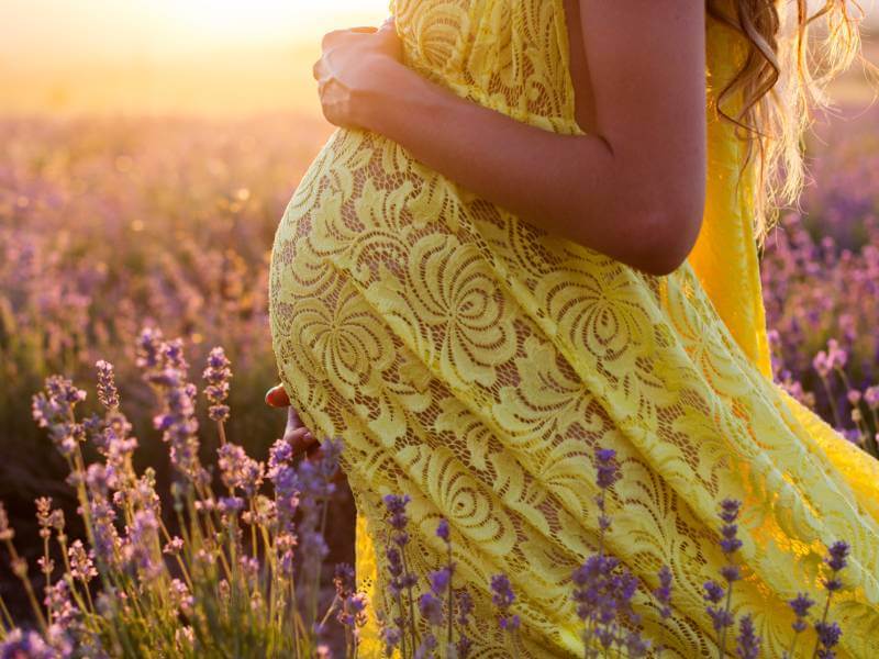 Mutterschaftsgeld während des Mutterschutzes - wer zahlt das Entgelt während des Beschäftigungsverbots in Schwangerschaft und Mutterschutz